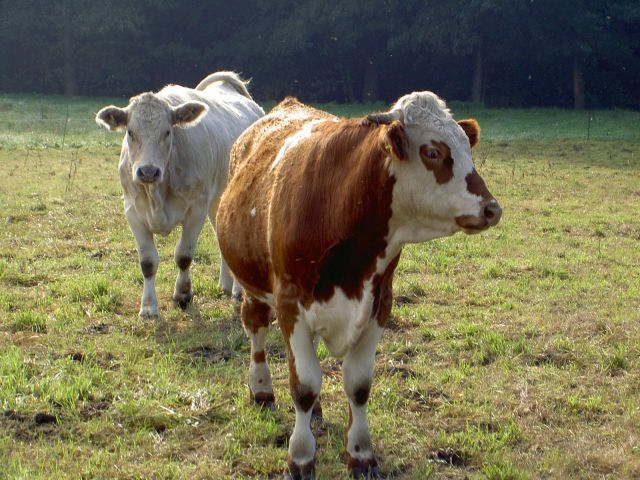 2te_H-M-G-W_15.jpg