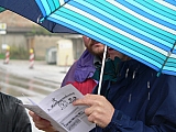 3te-HMGW-12.JPG