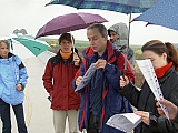 3te-HMGW-20.JPG