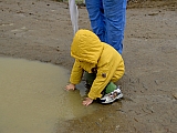 3te-HMGW-27.JPG