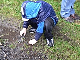 3te-HMGW-32.JPG