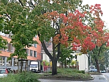 3te-HMGW-40.JPG