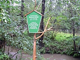 3te-HMGW-68.JPG