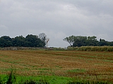 3te-HMGW-71.JPG