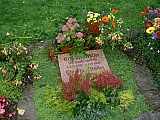 3te-HMGW-73.JPG