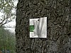 IV_HMGW_05.JPG