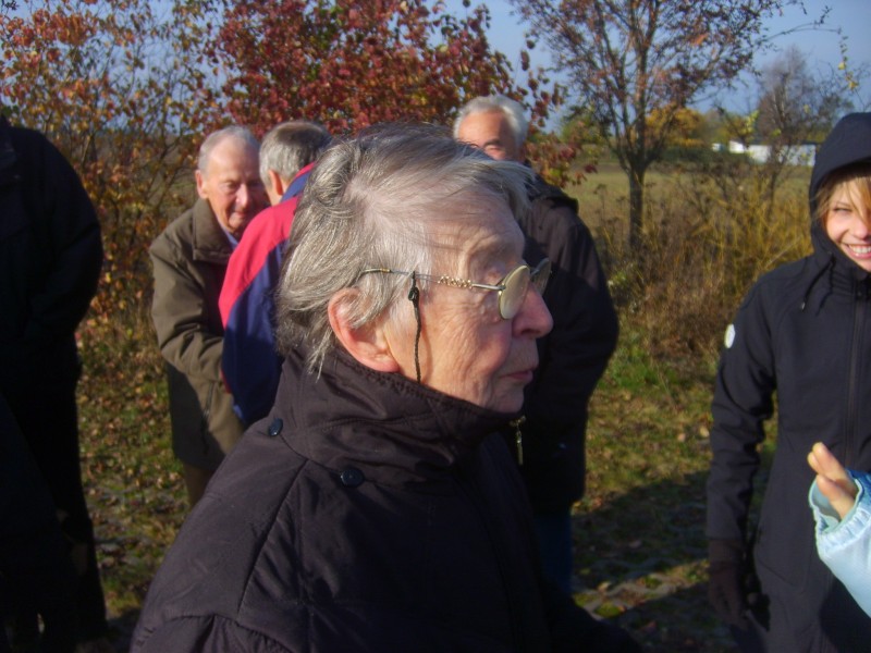 VIIte_HMGW_07.jpg