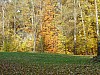 VIIte_HMGW_51.jpg