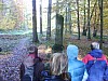 VIIte_HMGW_54.jpg