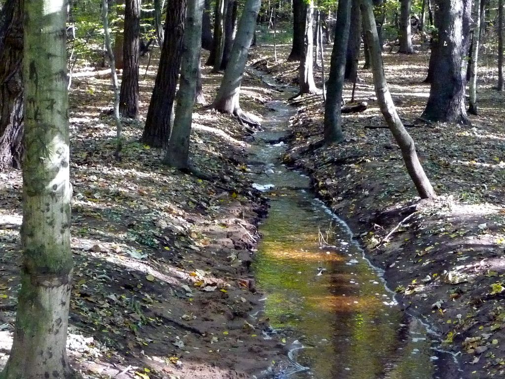 VIII_HMGW_Dresdner_Heide_11.jpg