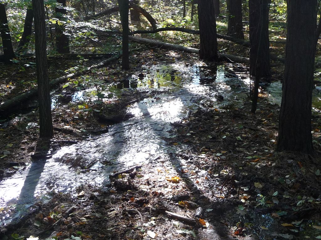 VIII_HMGW_Dresdner_Heide_12.jpg