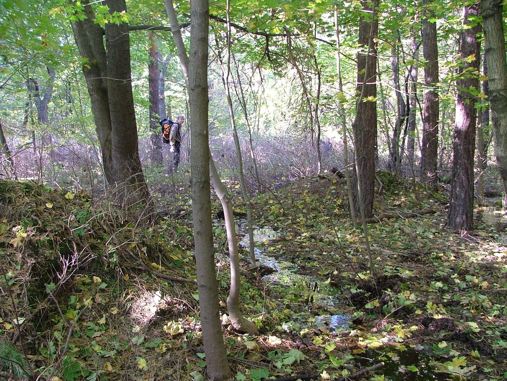 VIII_HMGW_Dresdner_Heide_13.jpg