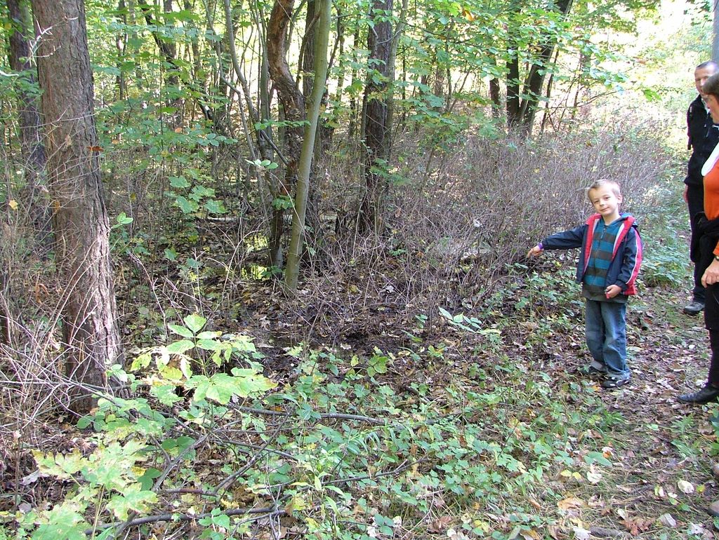 VIII_HMGW_Dresdner_Heide_14.jpg