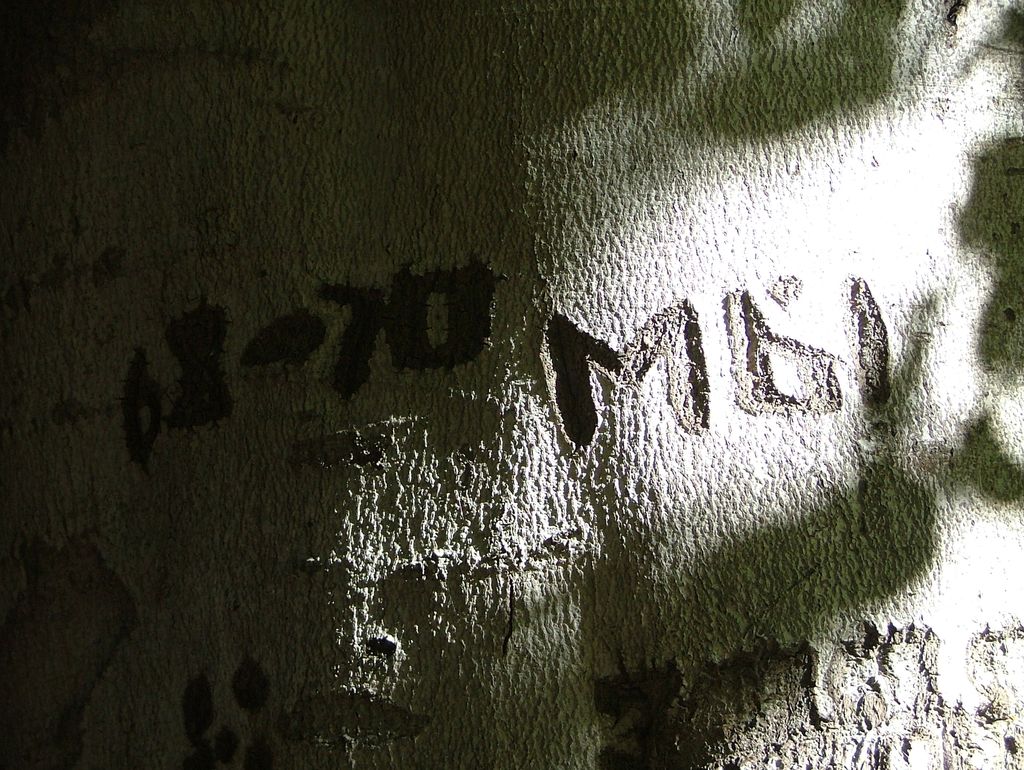 VIII_HMGW_Dresdner_Heide_16.jpg