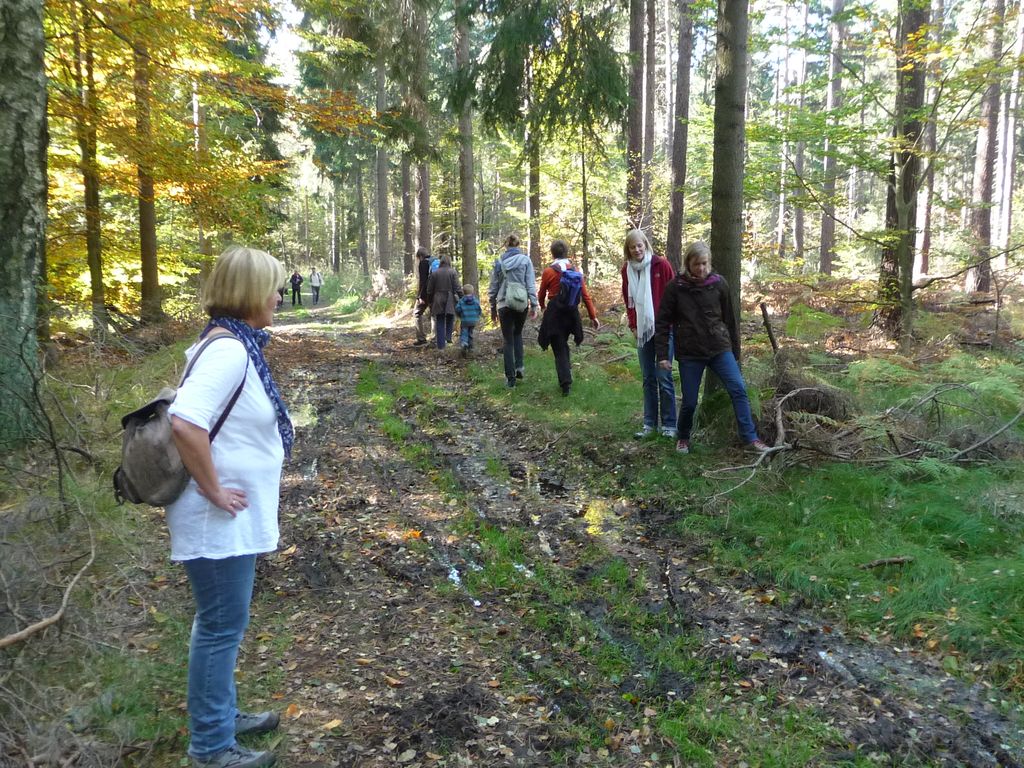 VIII_HMGW_Dresdner_Heide_20.jpg