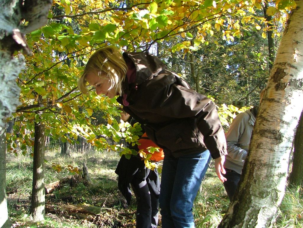 VIII_HMGW_Dresdner_Heide_31.jpg