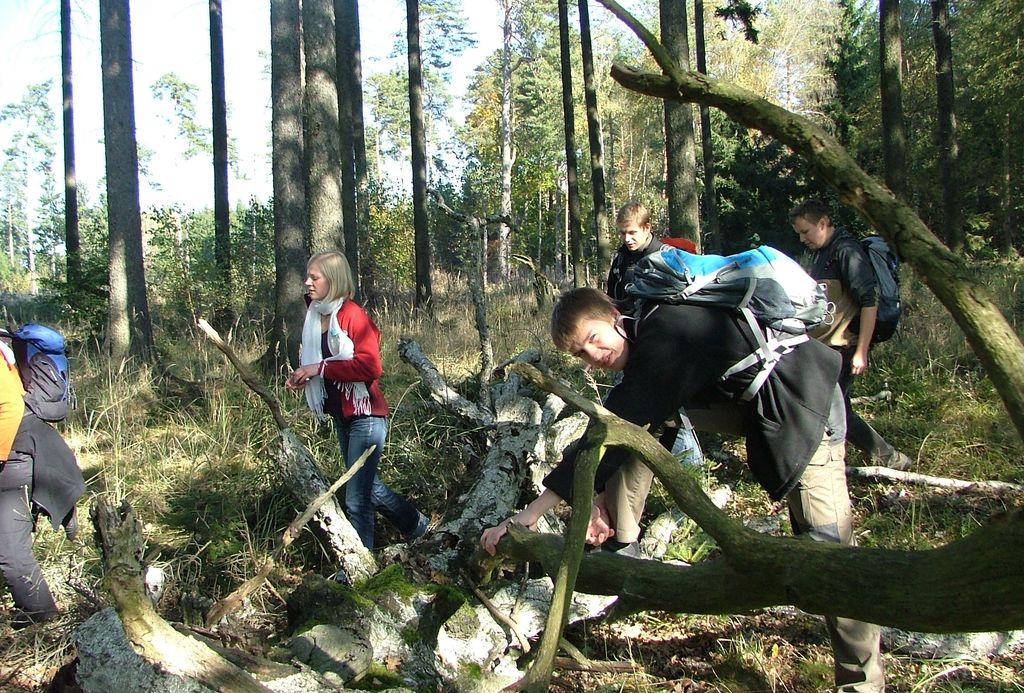 VIII_HMGW_Dresdner_Heide_34.jpg