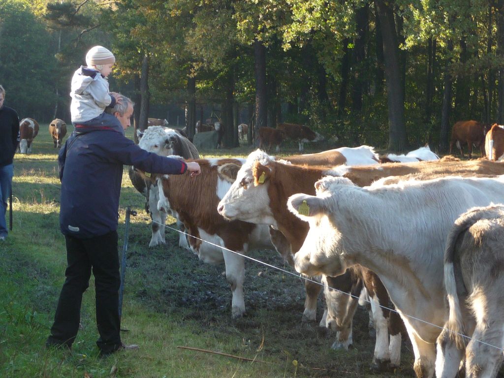VIII_HMGW_Dresdner_Heide_61.jpg