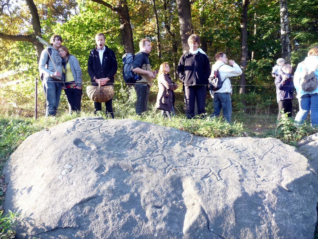 VIII_HMGW_Dresdner_Heide_62.jpg
