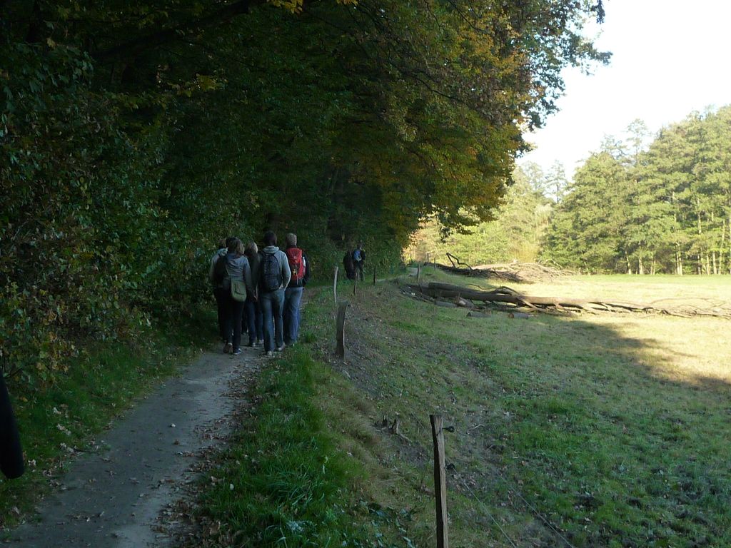 VIII_HMGW_Dresdner_Heide_63.jpg