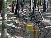 VIII_HMGW_Dresdner_Heide_11.jpg