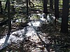 VIII_HMGW_Dresdner_Heide_12.jpg