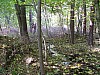 VIII_HMGW_Dresdner_Heide_13.jpg