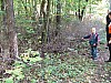 VIII_HMGW_Dresdner_Heide_14.jpg