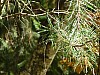 VIII_HMGW_Dresdner_Heide_29.jpg