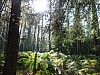 VIII_HMGW_Dresdner_Heide_30.jpg