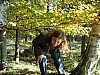 VIII_HMGW_Dresdner_Heide_33.jpg