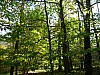 VIII_HMGW_Dresdner_Heide_35.jpg