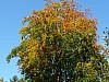 VIII_HMGW_Dresdner_Heide_50.jpg