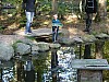 VIII_HMGW_Dresdner_Heide_53.jpg