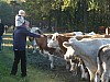 VIII_HMGW_Dresdner_Heide_61.jpg