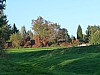 VIII_HMGW_Dresdner_Heide_64.jpg