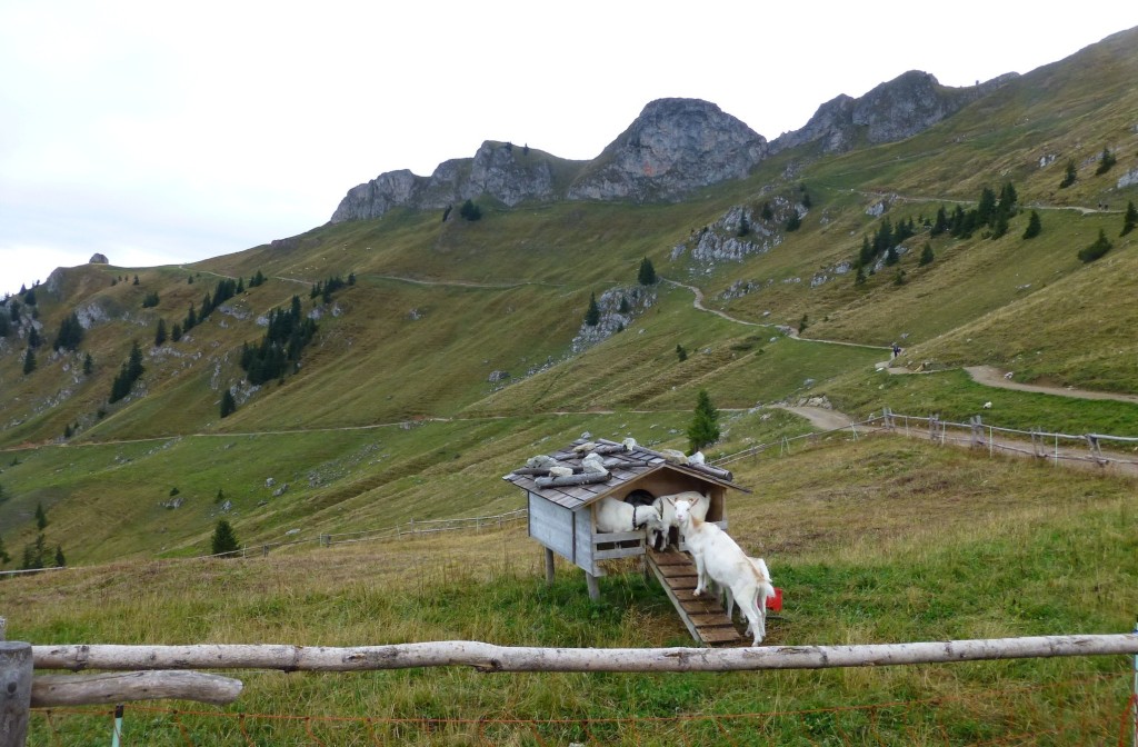 Wurzhütte - 025 - Dieter.jpg