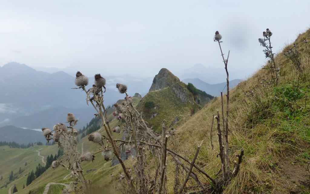 Wurzhütte - 050 - Dieter.jpg