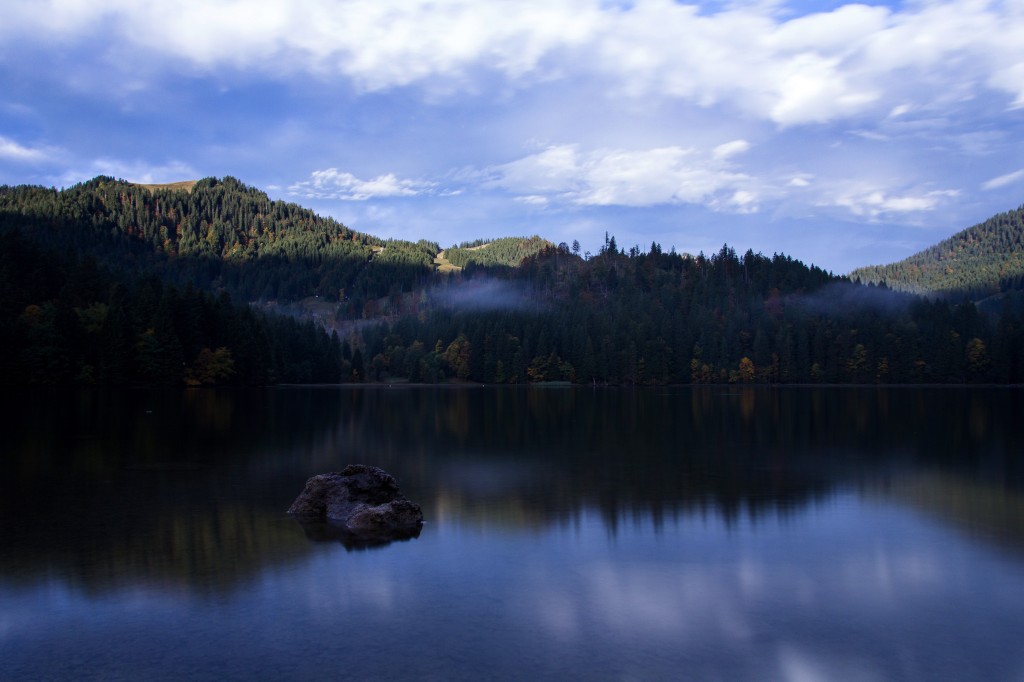 Wurzhütte - 138 - Mueller-Wolfskeil.jpg