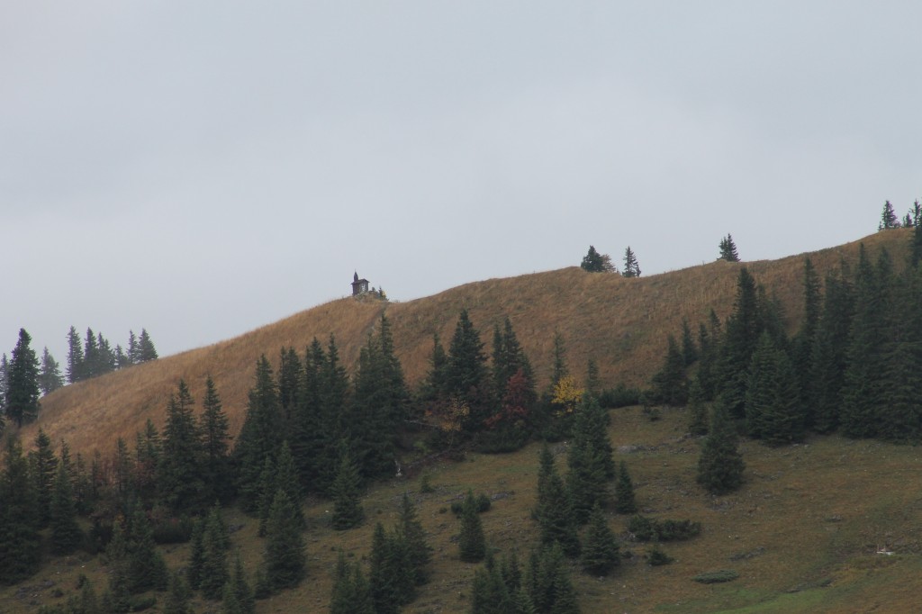 Wurzhütte - 224 - Lisa.jpg