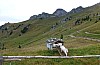 Wurzhütte - 025 - Dieter.jpg