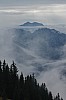 Wurzhütte - 080 - Lisa.jpg