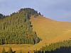 Wurzhütte - 123 - Dieter.jpg