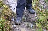 Wurzhütte - 207 - Dieter.jpg