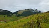 Wurzhütte - 222 - Dieter.jpg