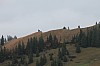 Wurzhütte - 224 - Lisa.jpg