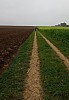 MGGW-XII - 24.jpg