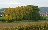 MGGW-XII - 59.jpg