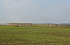 XIII. MGGW - 032.jpg