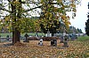 16_MGGW_Fr - 03.jpg